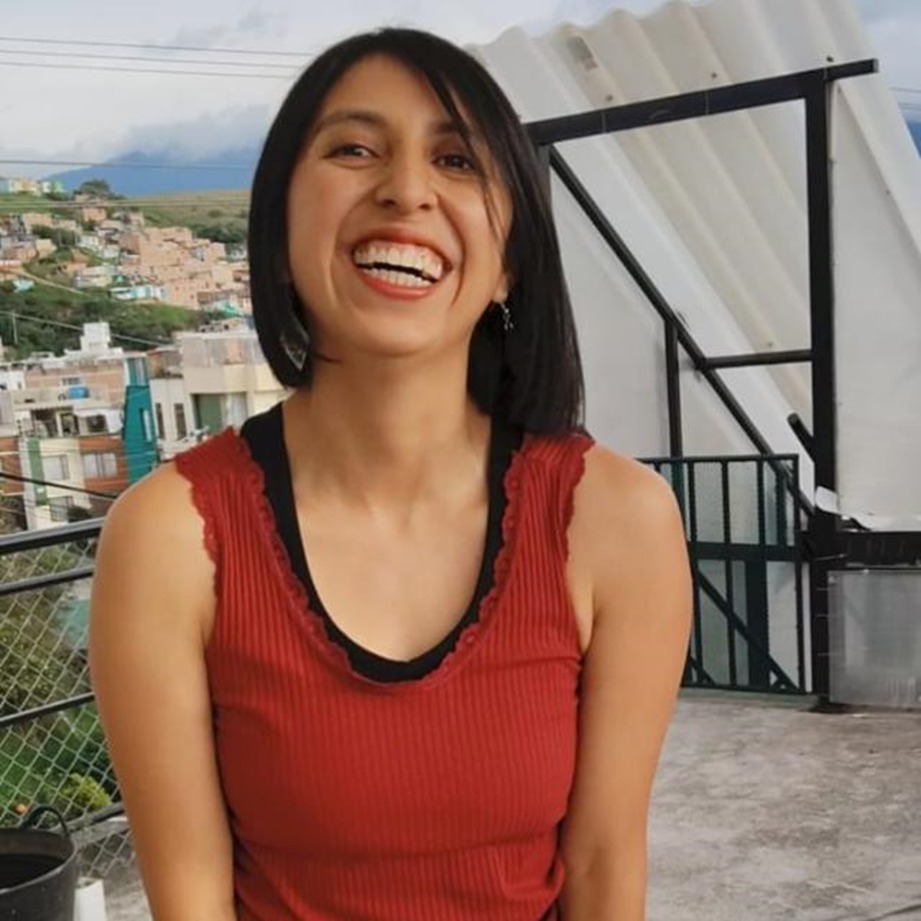 Ing. Sandra del Pilar Paz Jojoa